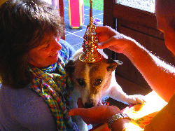 C6 Animal blessing