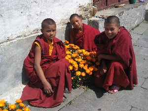 IMG 0608